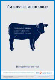 (COW POSTER GRAPHIC)