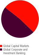 (PIE CHART)