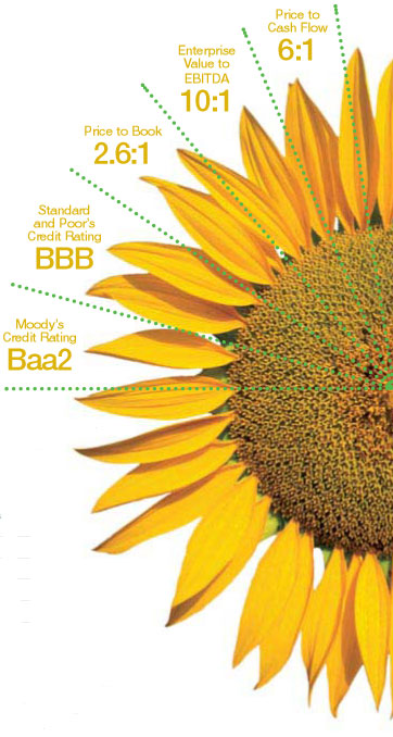 (SUNFLOWER CHART - KEY VALUE MEASUREMENTS)