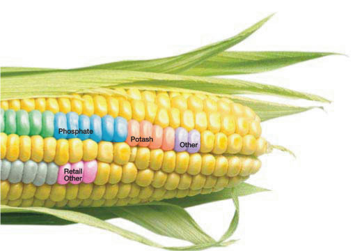 (CORN CHART)