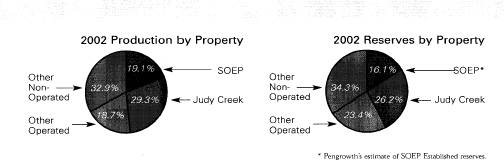 PENGROWTH ENERGY TRUST ESTIMATE OF SOEP ESTABLISHED GRAPH