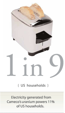 (1 IN 9 US HOUSEHOLDS)