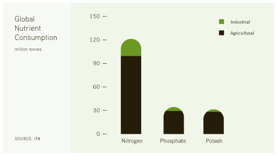 (BAR CHART)