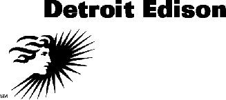 [DETROIT EDISON LOGO]