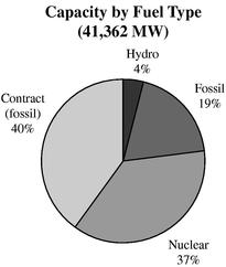 Capacity by Fuel Type Pie Chart