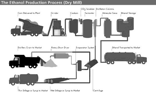 (THE ETHANOL PRODUCTION PROCESS)