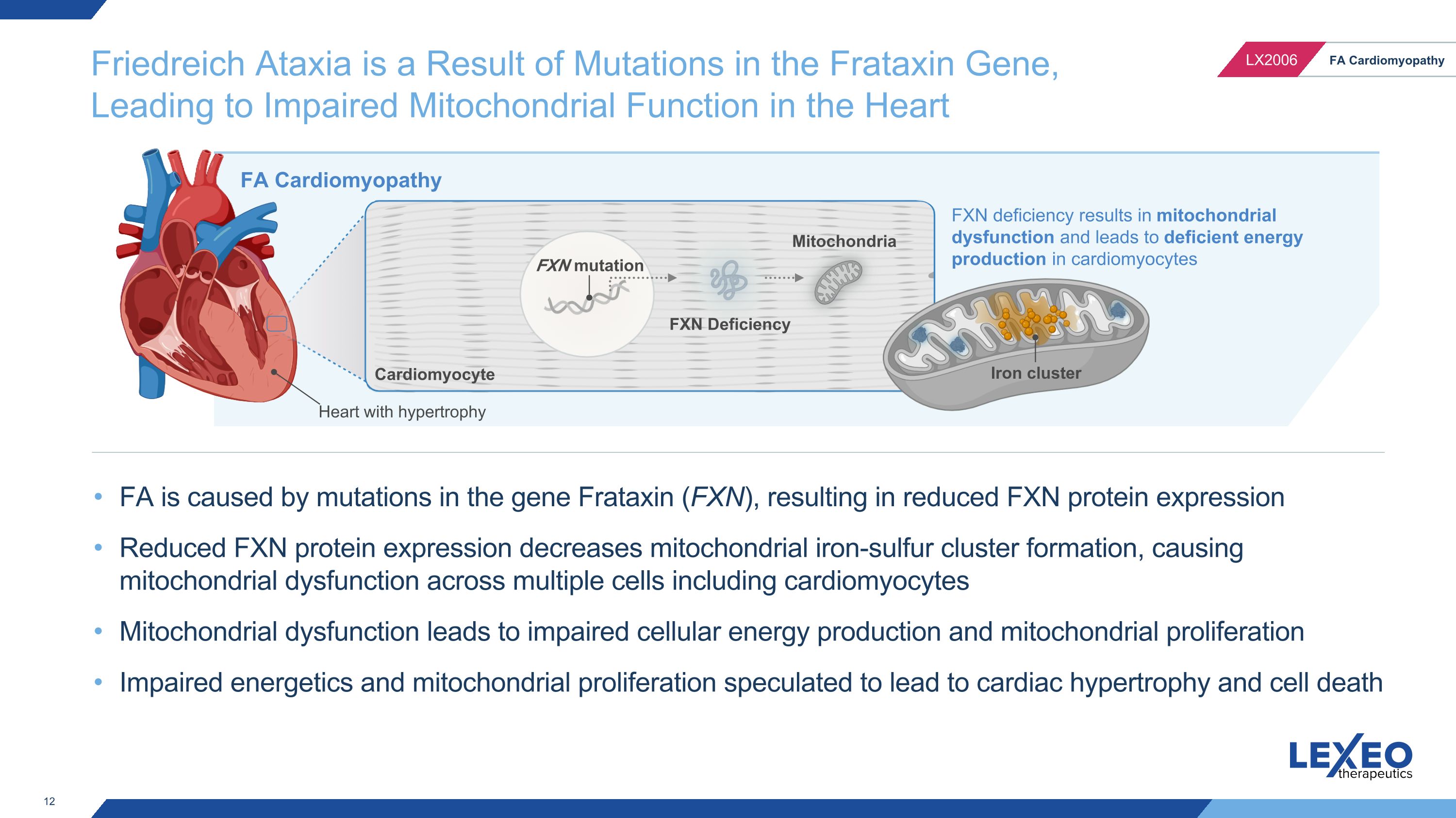 Slide 12