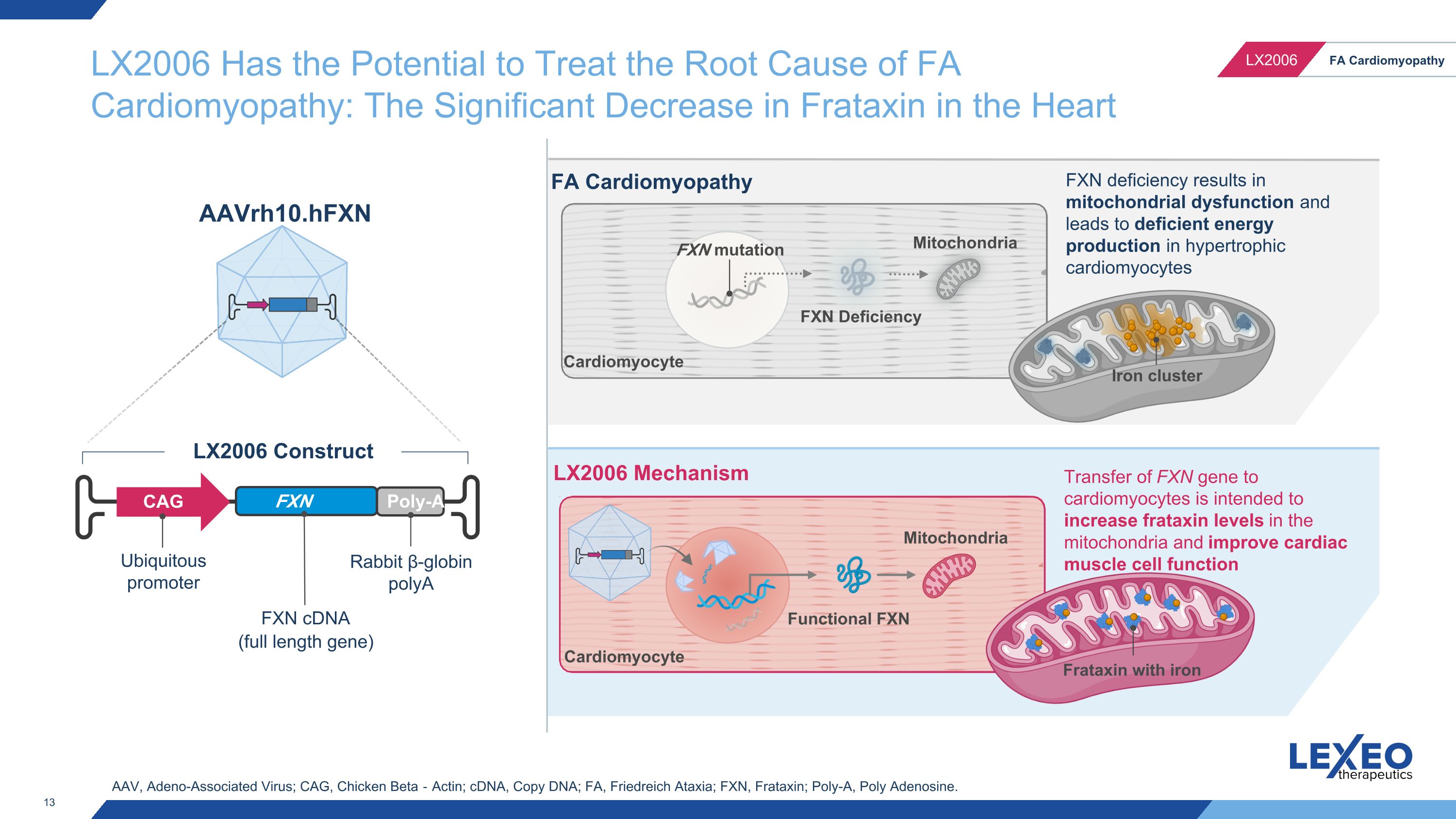 Slide 13