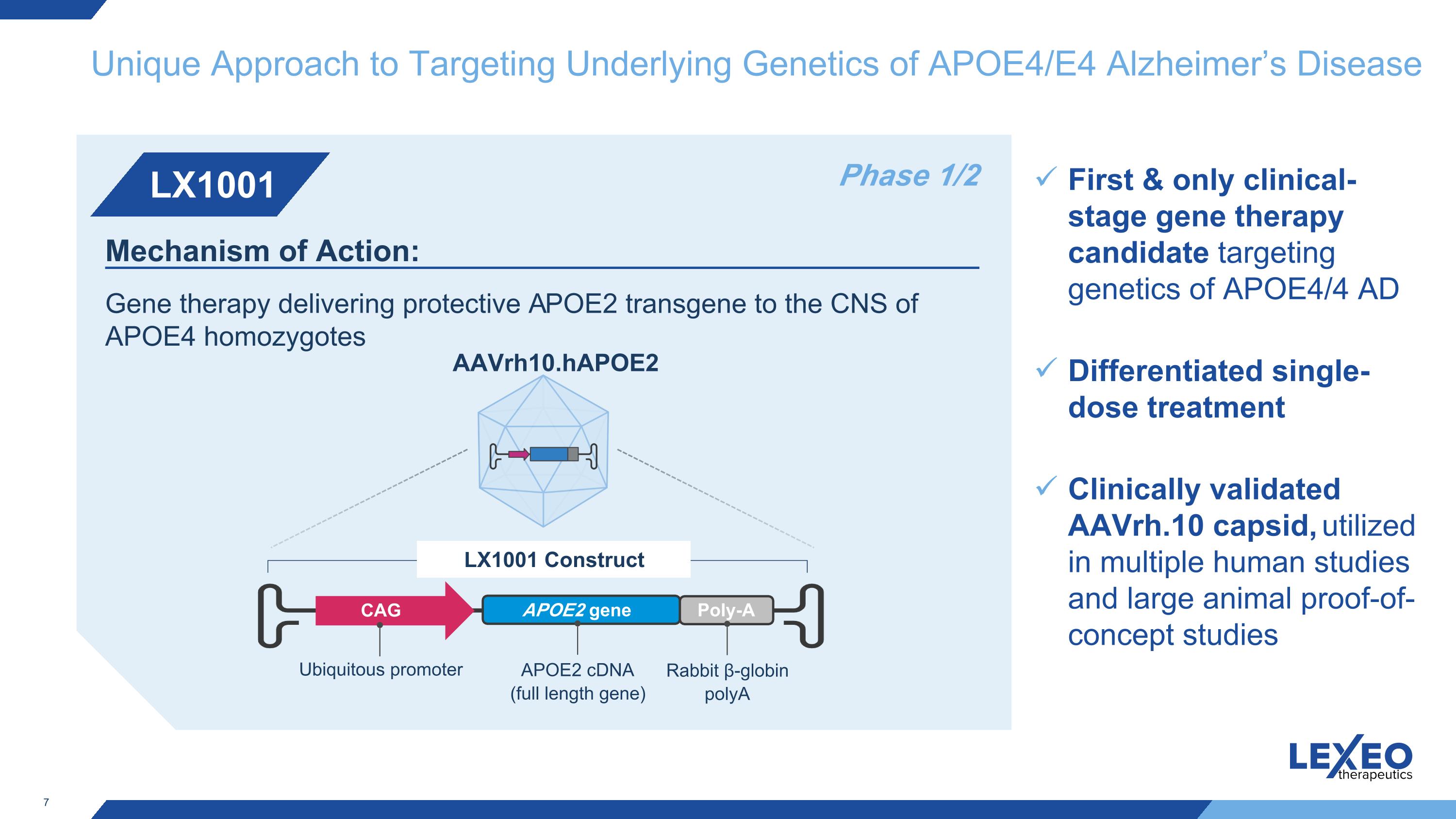 Slide 7