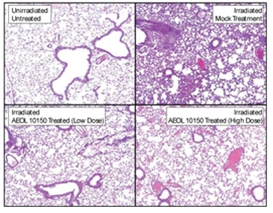 Figure 5 Graphic