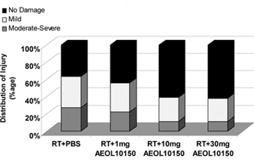 Figure 6 Graphic