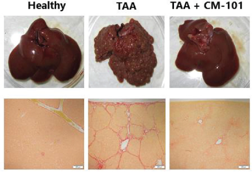 [MISSING IMAGE: tm211883d1-pht_healthy4clr.jpg]