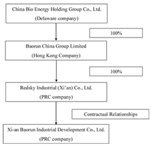 China Bio Energy