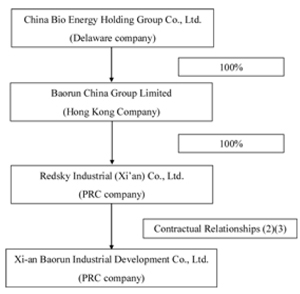 china bio energy