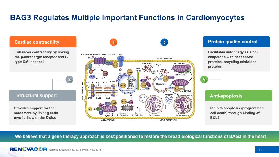 Slide 11