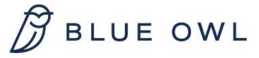 blueowllogo.jpg