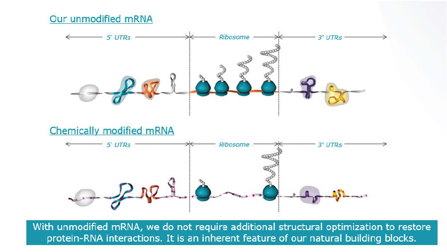 [MISSING IMAGE: tm2016252d6-mrna.jpg]