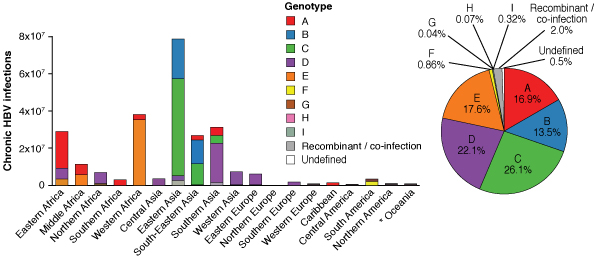 [MISSING IMAGE: tm2035121d1-bc_genotype4c.jpg]