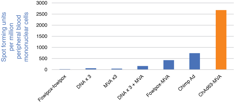 [MISSING IMAGE: tm2035121d7-bc_tcell4c.jpg]