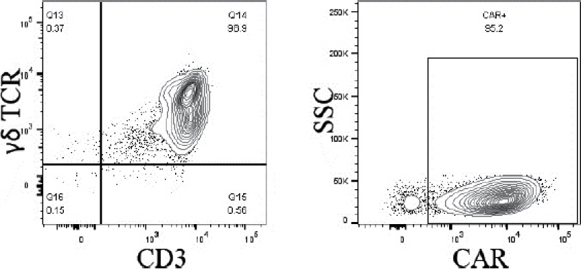 [MISSING IMAGE: tm218551d3-lc_differentbwlr.jpg]