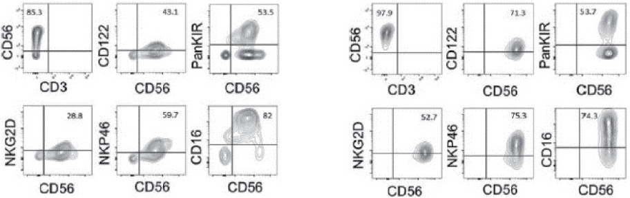 [MISSING IMAGE: tm218551d3-ph_phenotypebwlr.jpg]