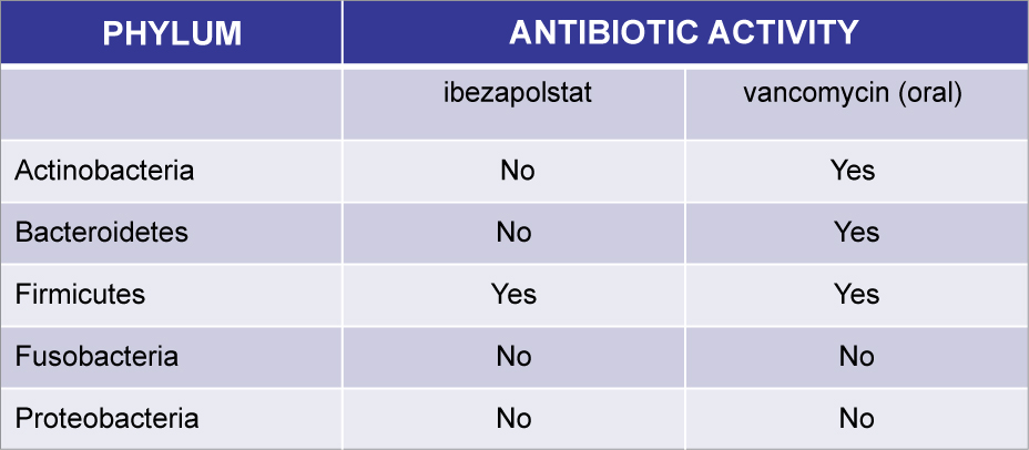 [MISSING IMAGE: tm2111636d2-tbl_activ4c.jpg]