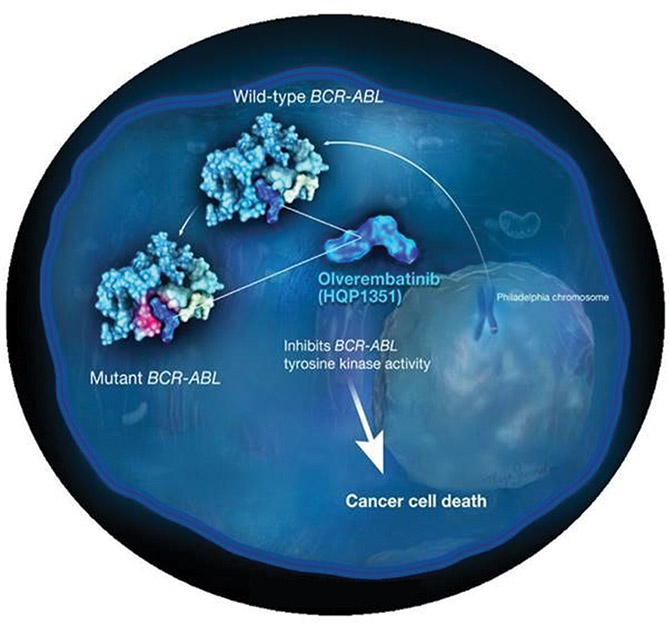 [MISSING IMAGE: ph_mechanism-4clr.jpg]