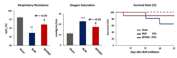 figure10.jpg