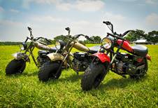 A group of motorcycles parked on grass

Description automatically generated