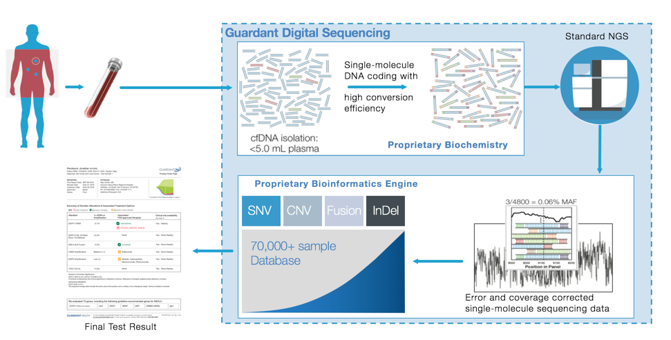 digitalsequencinga01.jpg