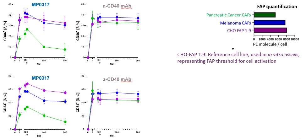 figure251aa.jpg