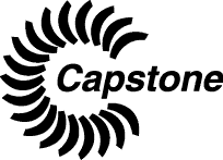 (CAPSONTE LOGO)