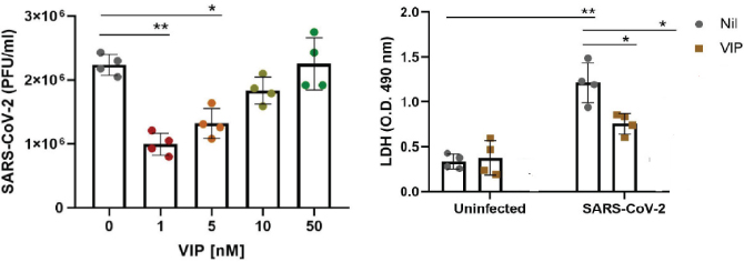 [MISSING IMAGE: tm2135823d1-bc_inhibit4clr.jpg]