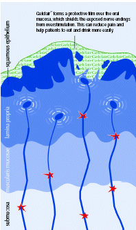 (GRAPHIC OF NERVE ENDINGS)