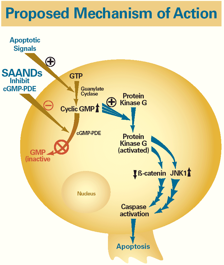 (PROPOSED MECHANISM OF ACTION GRAPHIC)