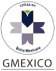 (GMEXICO LOGO)