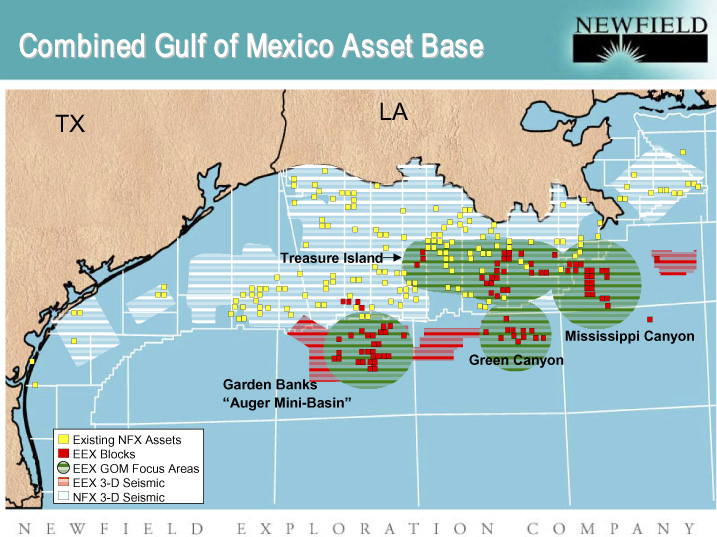 (COMBINED GULF OF MEXICO ASSET BASE)