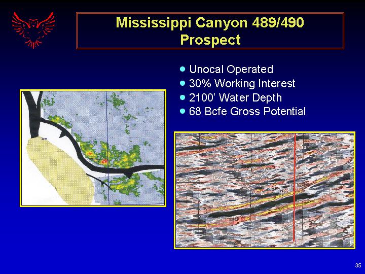 (MISSISSIPPI CANYON 489/490 PROSPECT)