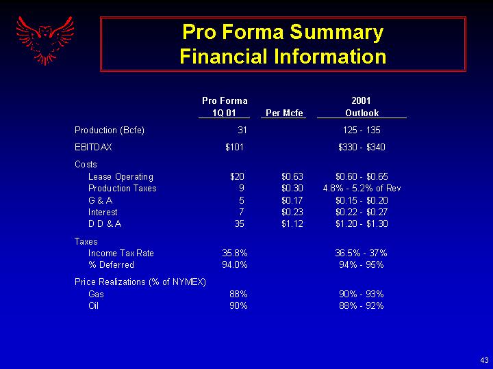 (PRO FORMA SUMMARY FINANCIAL INFORMATION)