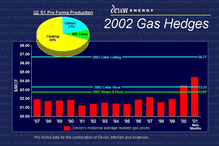 (2002 GAS HEDGES)