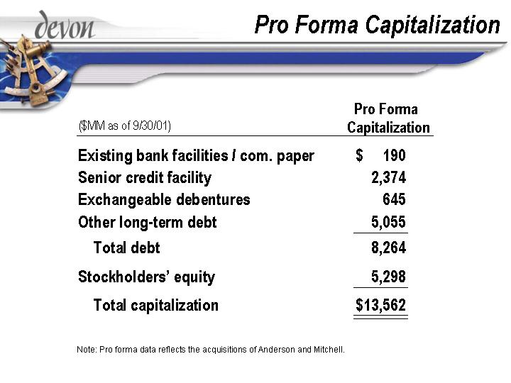 (PRO FORMA CAPITALIZATION)