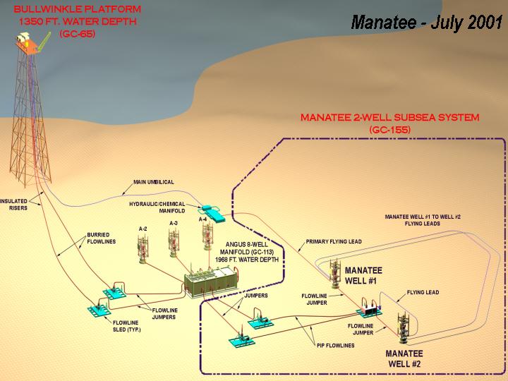 (MANATEE – JULY 2001)