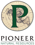 (Pioneer LOGO)