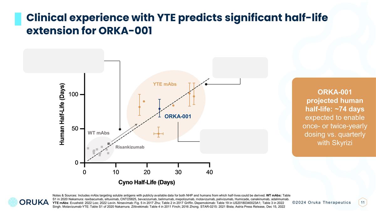 Slide 11