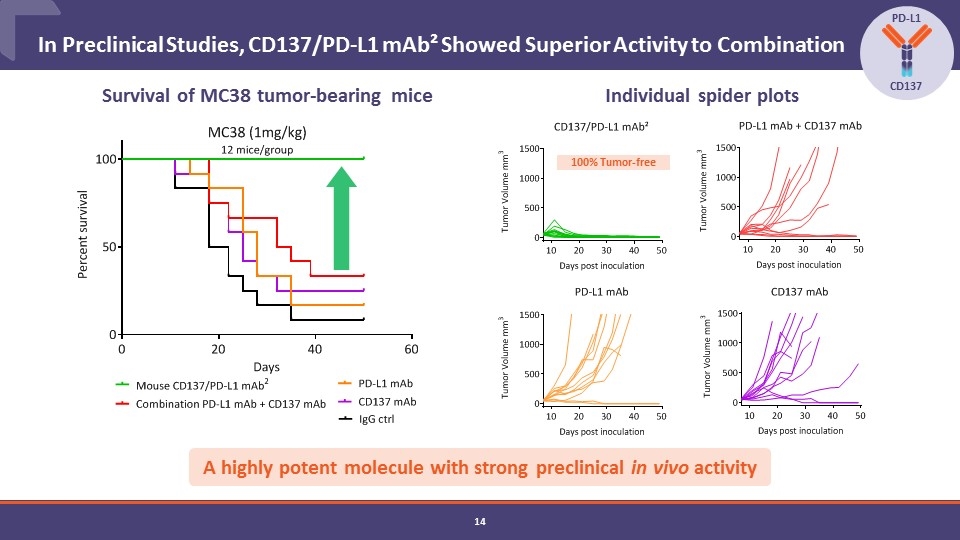 Slide 14