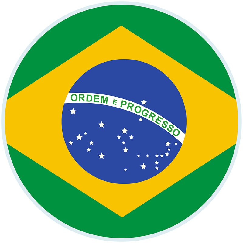 bandera_brasila01.jpg