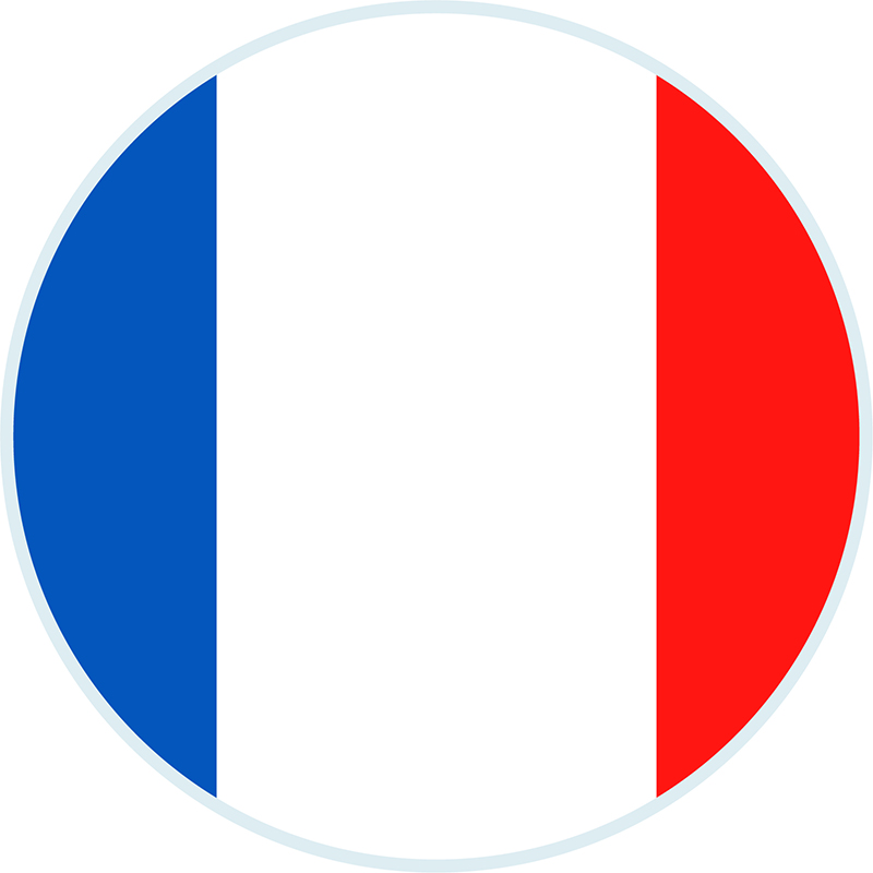 bandera_francia.jpg