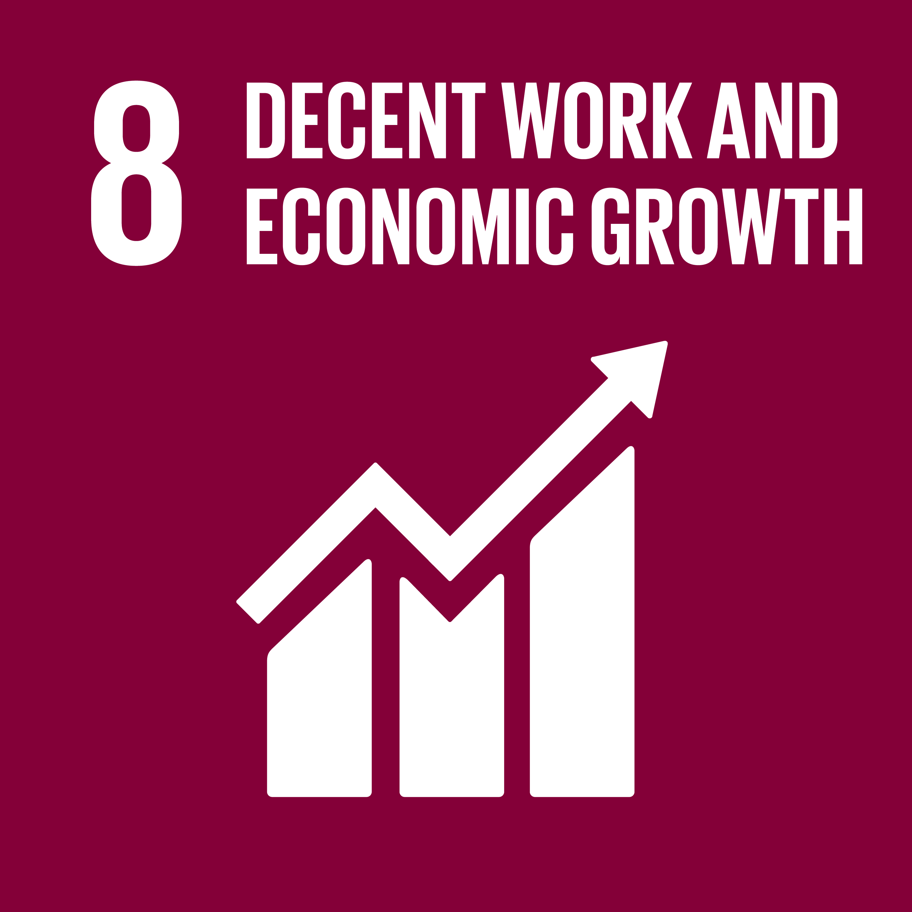 sdg8a11.jpg