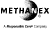 (METHANEX LOGO)