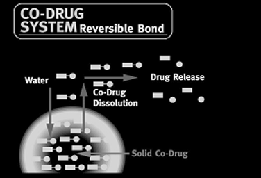 (GRAPHIC OF CO-DRUG SYSTEM)